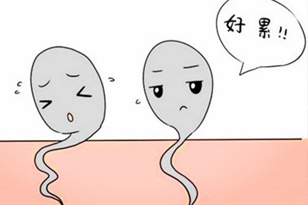 ԹӤʱҪѡӻǿ𣿾β