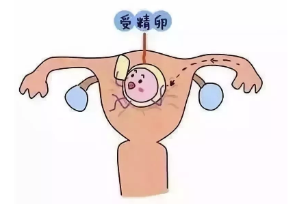 ԹӤһʧܺڶҪ೤ʱ