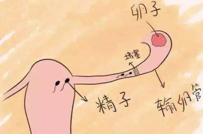 ѹܼҪ¾죿ЩСʿ˳ɼ飡