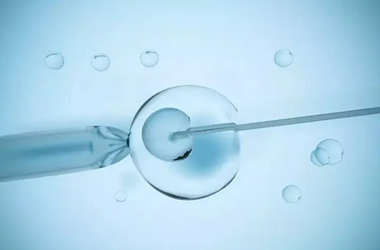 降调卵泡数量和质量 降调卵泡数量和质量