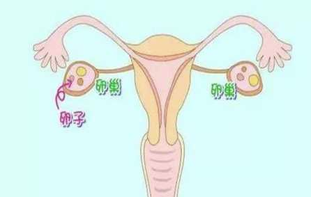 ȡѺѳ˿ڼԺ